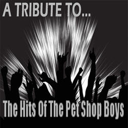 Always On My Mind - (Tribute To The Pet Shop Boys)