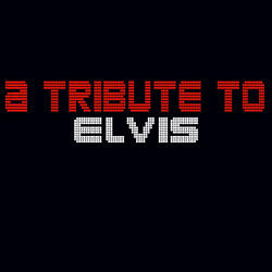 I Forgot To Remember To Forget - (Tribute To Elvis Presley)