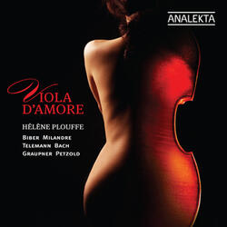 Trio in E-Flat Major for Viola d’amore, Bass Chalumeau & Continuo: IV. Vivace