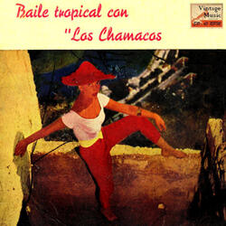 Nunca (Bolero Cha Cha Cha)