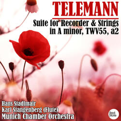Suite for Recorder & Strings in A minor, TWV55, a2: II. Les plaisirs 1 & 2