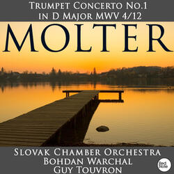 Trumpet Concerto No.1 in D Major, MWV 4/12: I. Allegro