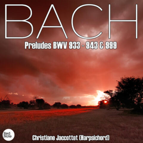 Bach JS: Preludes BWV 933 - 943 & 999