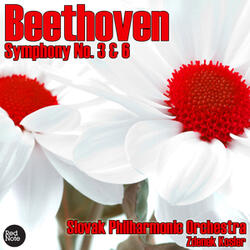 Symphony No. 6 (Pastorale) in F major, Op. 68: I. Allegro ma non troppo