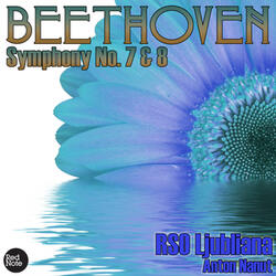 Symphony No. 8 in F Major, Op. 93: I. Allegro vivace e con brio