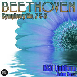 Symphony No. 7 in A major, Op. 92: II. Allegretto