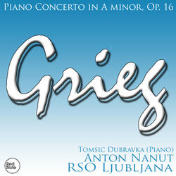Piano Concerto in A minor, Op. 16: I. Allegro molto moderato
