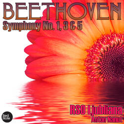 Symphony No. 3 (Eroica) in E Flat major, Op. 55: IV. Finale: Allegro molto