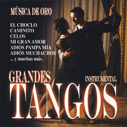 El choclo (tango)