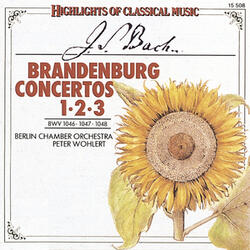 Concerto for Harpsichord, Strings and Continuo in D Major, BWV 1054: Adagio