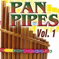 Killing Me Softly With His Song - Pan Pipes