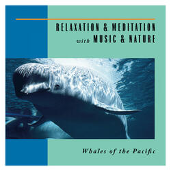 Whales Of The Pacific