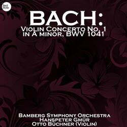 Violin Concerto in A minor, BWV 1041: II. Andante