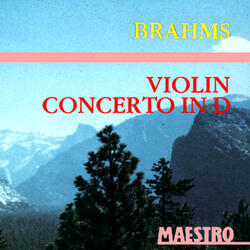 "Sleeping Beauty," Act 3: Sarabande (No. 29)
