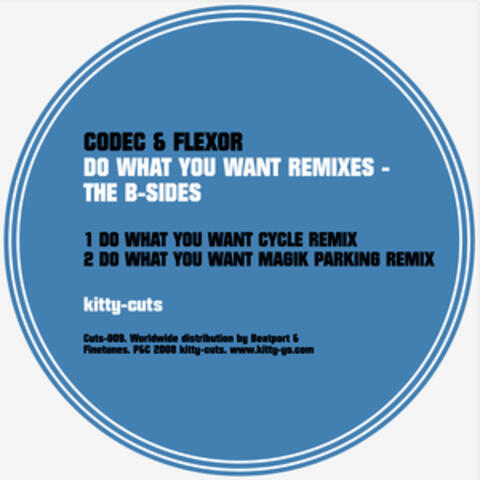 Do What You Want Remixes - The B-Sides