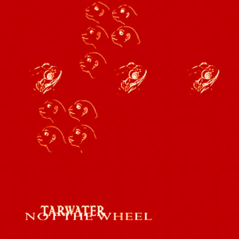Not The Wheel