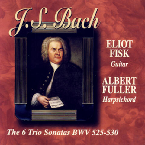 J.S. Bach: The Six Trio Sonatas BWV 525-530