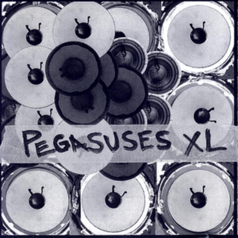 Pegasuses XL