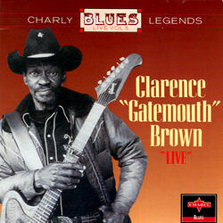 Boogie Woogie On St Louis Blues - Live