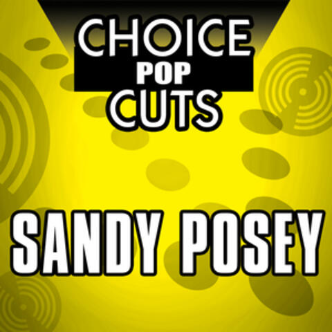 Re-Recorded Choice Pop Cuts