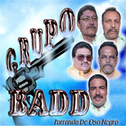 Parranda De Oso Negro