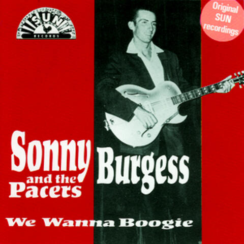We Wanna Boogie