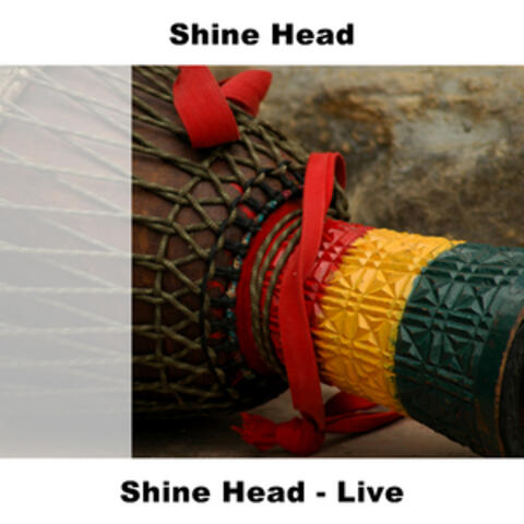 Shine Head - Live