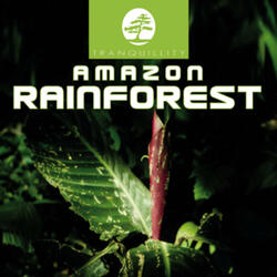 Amazon Rainforest Part 2 - Original