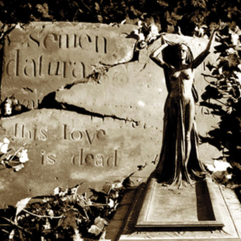 This Love Is Dead