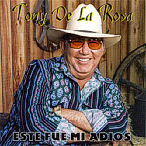 Este Fue Mi Adios