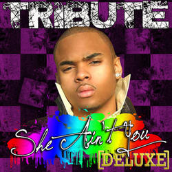She Ain't You (Chris Brown Tribute)