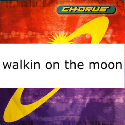 Walkin' On The Moon