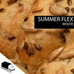 Summer Flex (D.A.M.B. Remix)