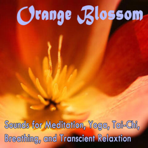 Orange Blossom: Meditation, Yoga, Tai-Chi, Breathing, and Transient Relaxation