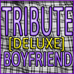 Boyfriend (Justin Bieber Remake) - Instrumental