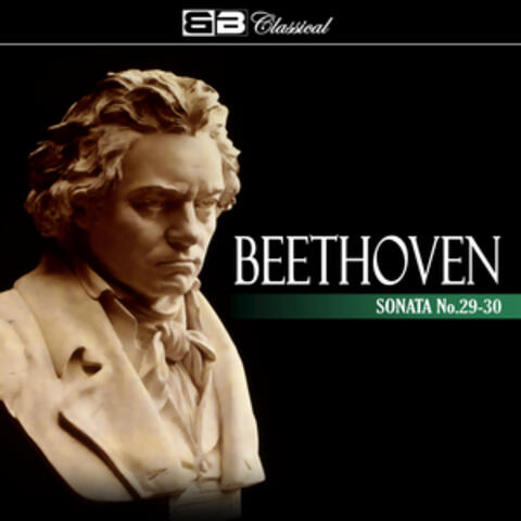 Beethoven Sonata No 29-30