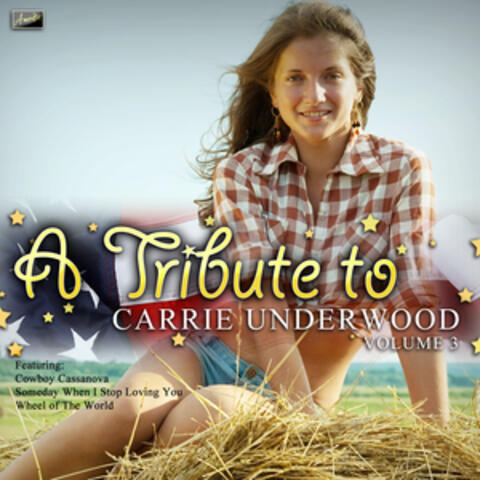A Tribute to Carrie Underwood Vol. 3