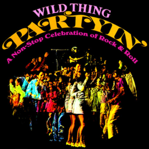 Partyin’! A Non-Stop Celebration of Rock & Roll
