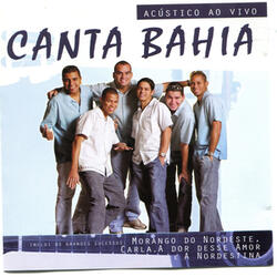 Você Não Me Ensinou a Te Esquecer