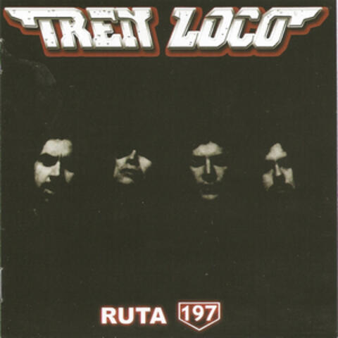 Ruta 197