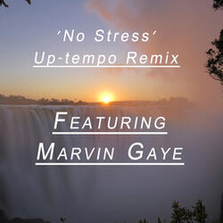 No Stress (Remix Feat. Marvin Gaye)