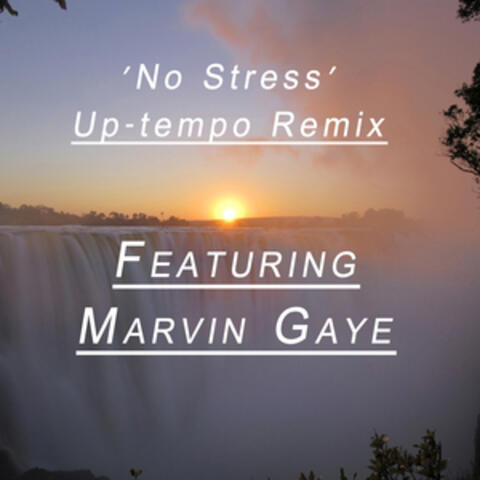 No Stress (Remix Feat. Marvin Gaye)
