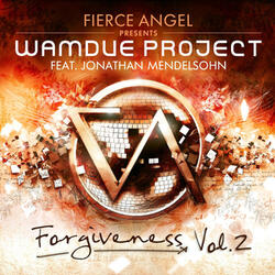 Forgiveness (Electro Funk Loverz)