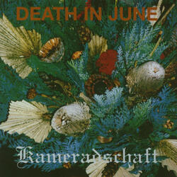 To Drown a Rose (John Balance On Lead Vocals Mix)