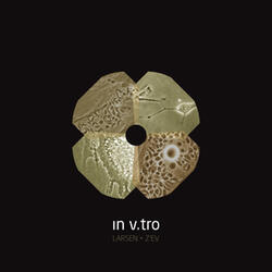 In V.Tro (Live)