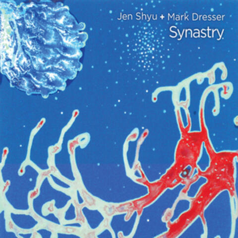 Synastry