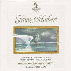 Symphony No. 4 in C Minor, D. 417: II. Andante
