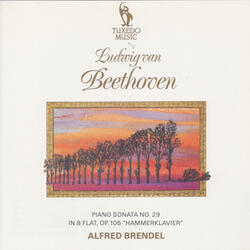 Piano Sonata No. 29 in B-Flat, Op. 106 "Hammerklavier": IV. Largo - Allegro risoluto