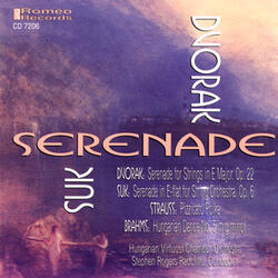 Serenade For Strings In E major op.22: I. Moderato