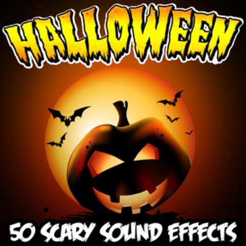 Halloween 50 Scary Sound Effects